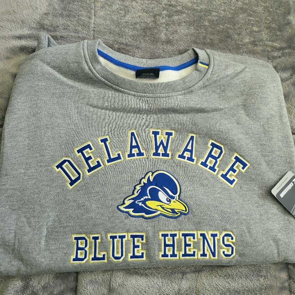 Colosseum Delaware Zion Crewneck Fleece, Large Heather Grey